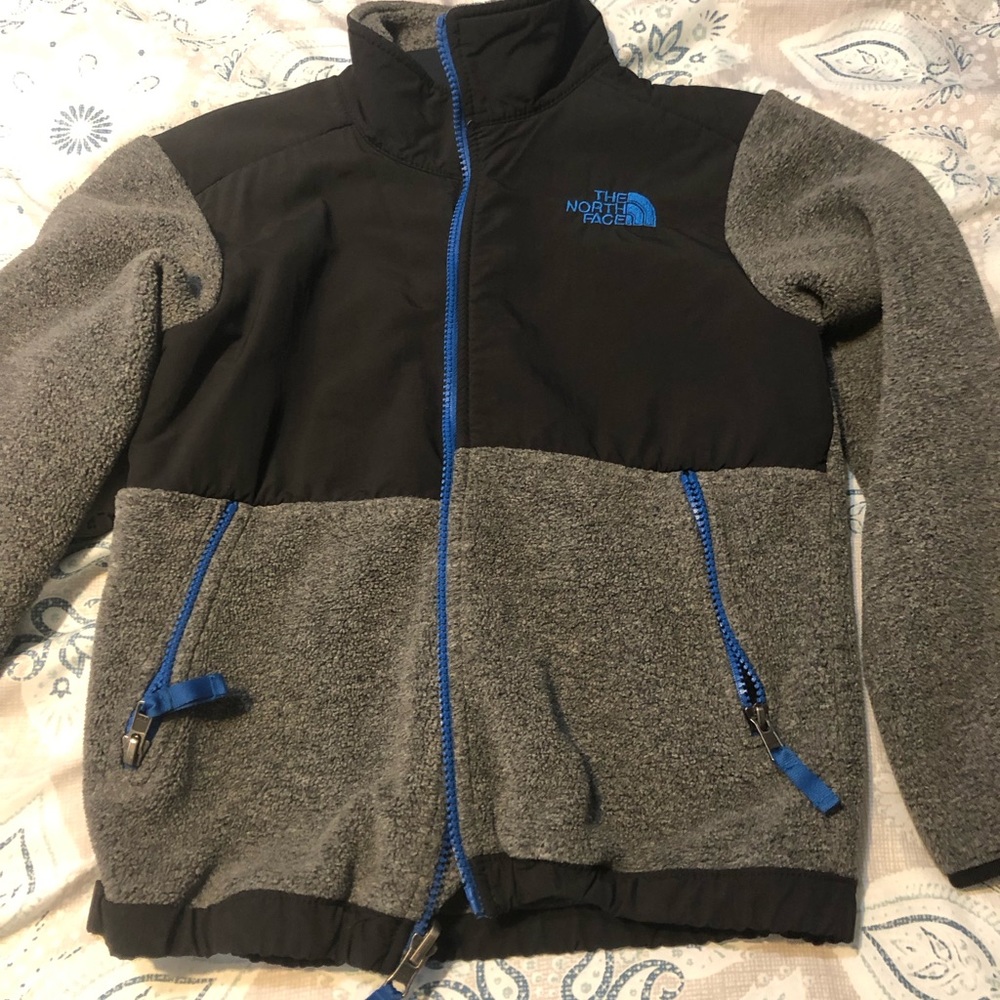 The north face Denali fleece jacket